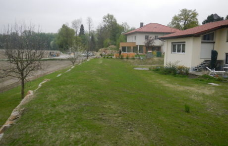 DSCN5003
