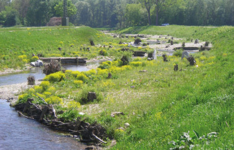Naarn im Mündungsbreich NACH Renaturierung – Quelle Land OÖ – Gewässerbe…