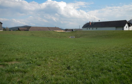 DSCN6413